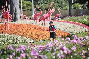 BIB: 
                            <button type="button" onclick="openModal(27794070)" class="btn btn-primary btn-sm float-right btn-popup" data-toggle="modal" data-target=".modal-high-quality">
                        <i class="fas fa-shopping-cart"></i> Add to Cart
                    </button>
                                            <button type="button" onclick="isThisMe(27794070, true)" class="btn btn-success btn-sm float-right btn-popup btn-isme hidden" data-toggle="tooltip" data-placement="bottom" title="นี่คือรูปของคุณใช่ไหม คลิกที่นี่เพื่อเอาเข้าอัลบั้ม">
                        <i class="fas fa-plus"></i> Add to album
                    </button>
                    <button type="button" onclick="isThisMe(27794070, false)" class="btn btn-warning btn-sm float-right btn-popup btn-isnotme hidden">
                        <i class="fas fa-ban"></i> Remove from album
                    </button>